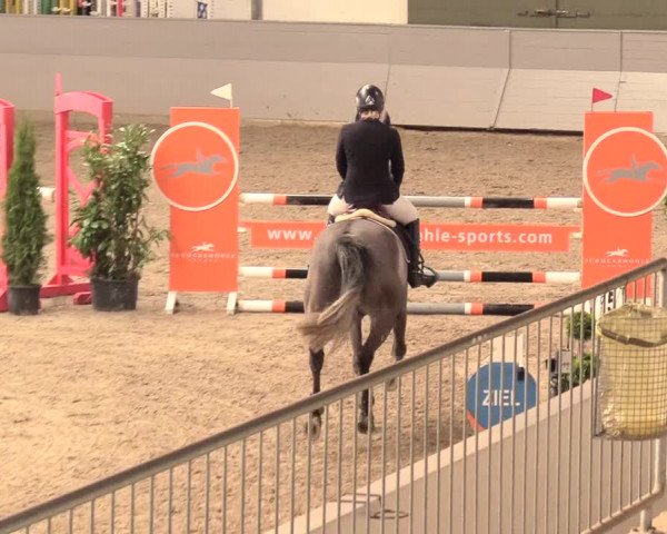 Reitturnier Luhmühlen 2021