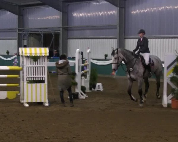 jumper Lazlo N (Holsteiner, 2005, from Ladas)