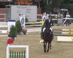 jumper Cassou 3 (Holsteiner, 2006, from Contender)