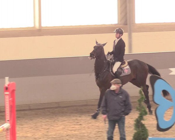 Reitturnier Luhmühlen 2021