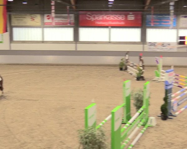 Reitturnier Luhmühlen 2021