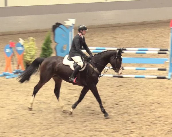 Reitturnier Luhmühlen 2021