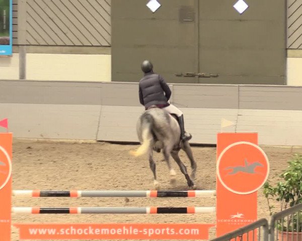 Reitturnier Luhmühlen 2021