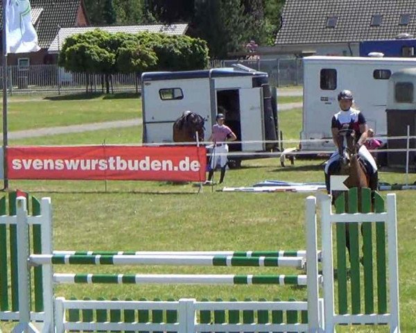 jumper Lärche CR (Holsteiner, 2007, from Landos)