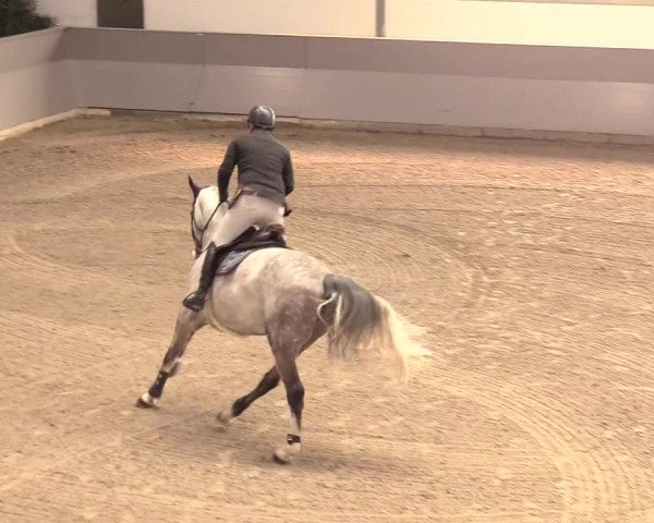 Reitturnier Luhmühlen 2021