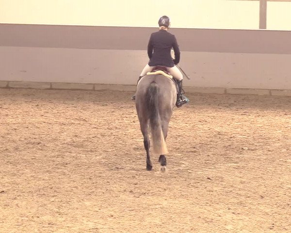 Reitturnier Luhmühlen 2021