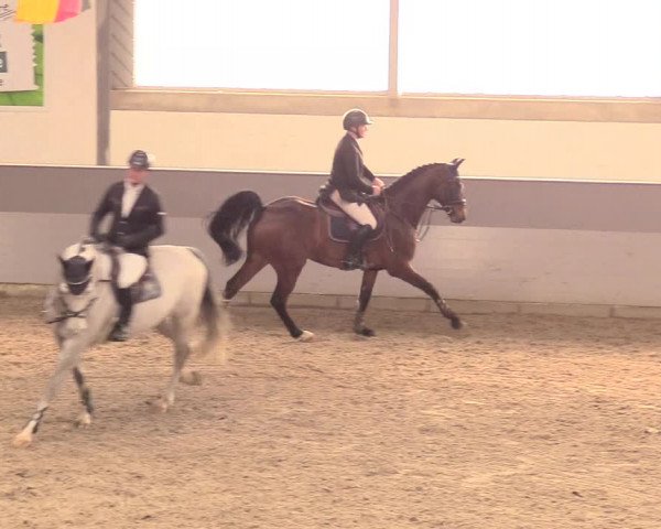 Reitturnier Luhmühlen 2021