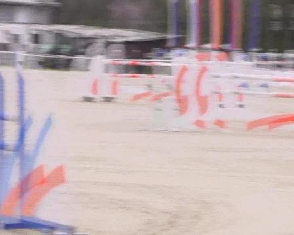 jumper Alvarez L (Holsteiner, 2003, from Acorado I)