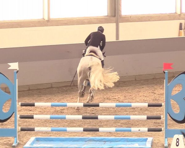 Reitturnier Luhmühlen 2021