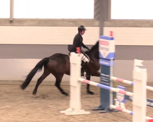 Reitturnier Luhmühlen 2021