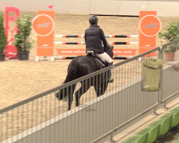 Reitturnier Luhmühlen 2021