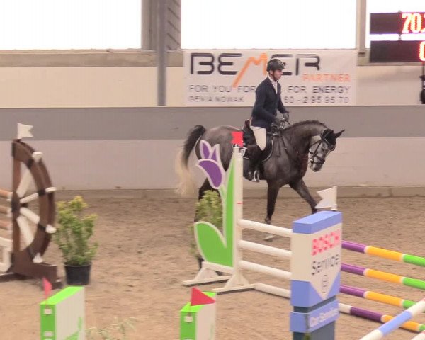 Reitturnier Luhmühlen 2021