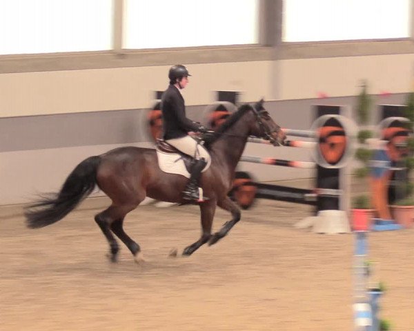 Reitturnier Luhmühlen 2021