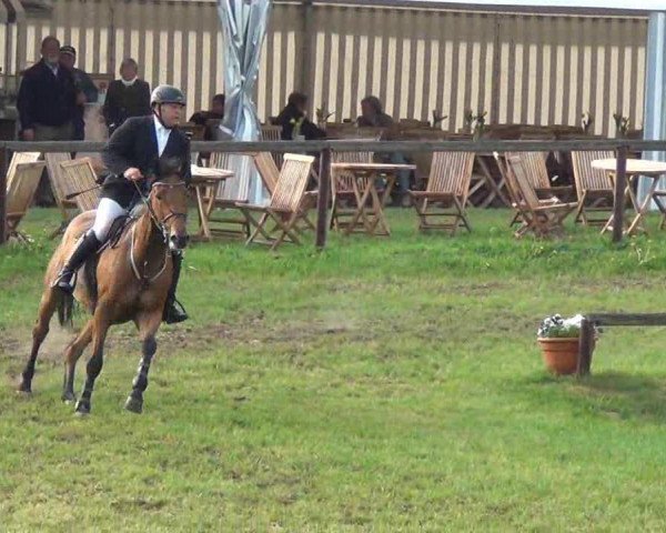 jumper Lucie Lou (Holsteiner, 2004, from Limbus)