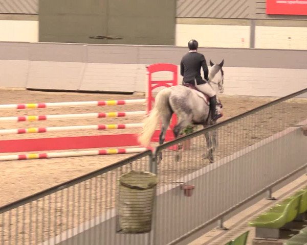 Reitturnier Luhmühlen 2021