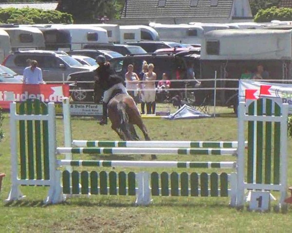 jumper Lacara 7 (Holsteiner, 2003, from Lancer II)