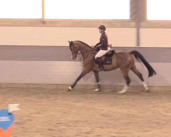 Reitturnier Luhmühlen 2021