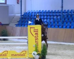 jumper Mowgli 50 (Oldenburg show jumper, 2006, from Lordanos)