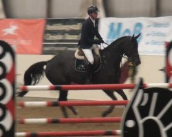 jumper Curley Sue (Oldenburg show jumper, 2006, from Cellestial)