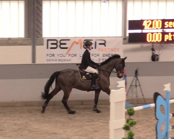 Reitturnier Luhmühlen 2021