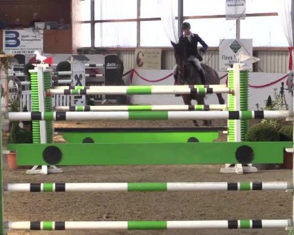broodmare Centine (Oldenburg show jumper, 2006, from Nintender)
