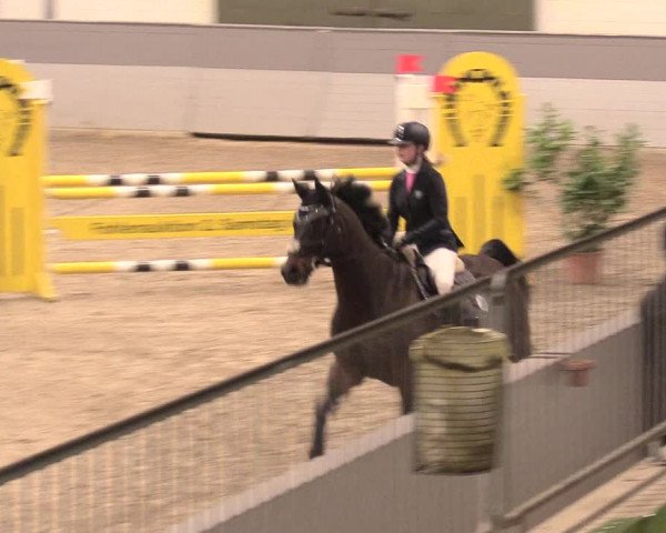 Reitturnier Luhmühlen 2021