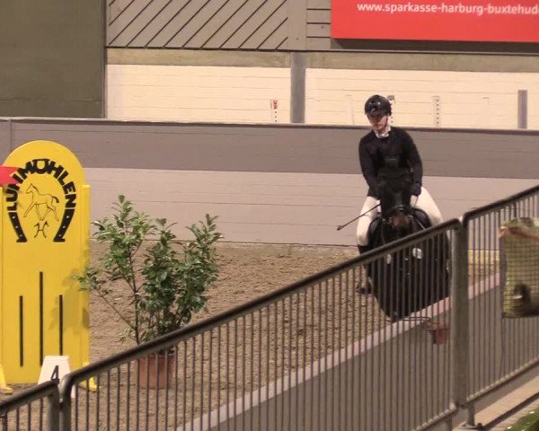 Reitturnier Luhmühlen 2021