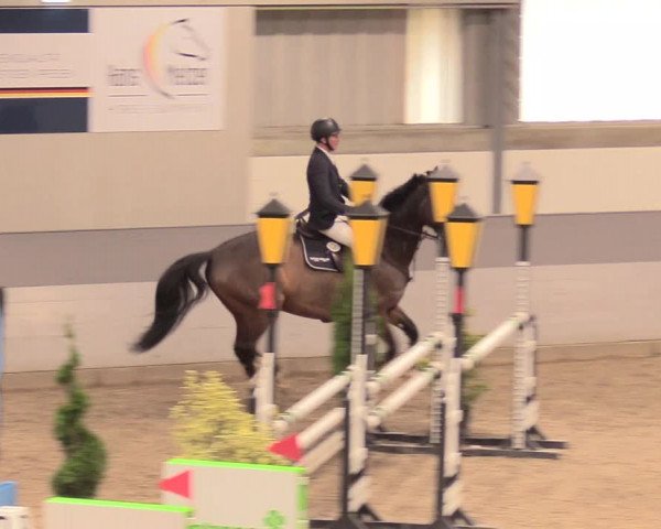 Reitturnier Luhmühlen 2021