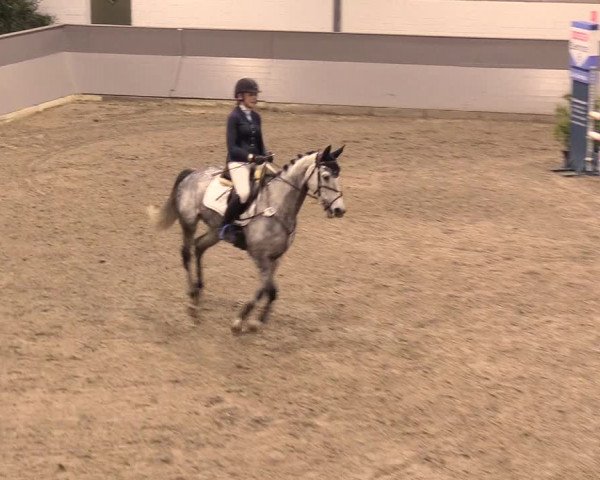 Reitturnier Luhmühlen 2021