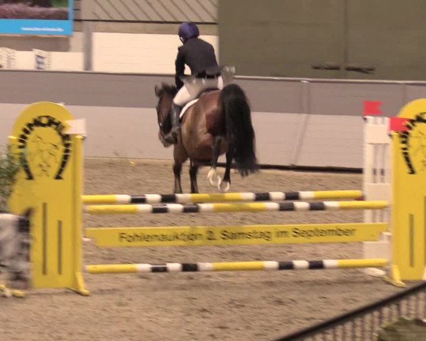 Reitturnier Luhmühlen 2021