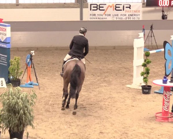 Reitturnier Luhmühlen 2021
