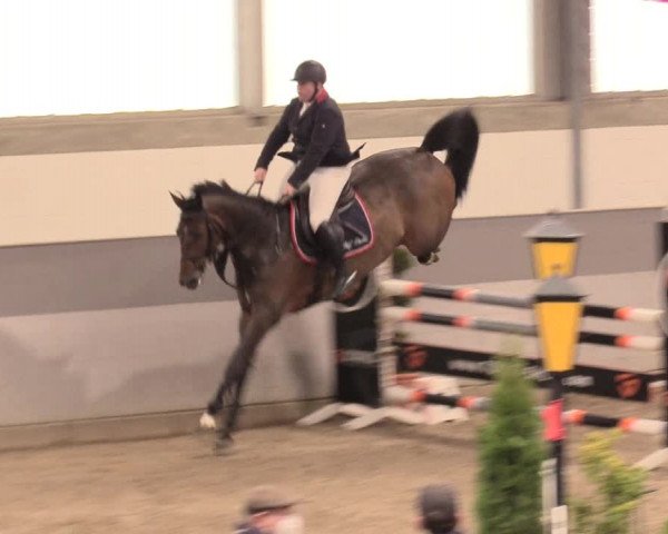 Reitturnier Luhmühlen 2021