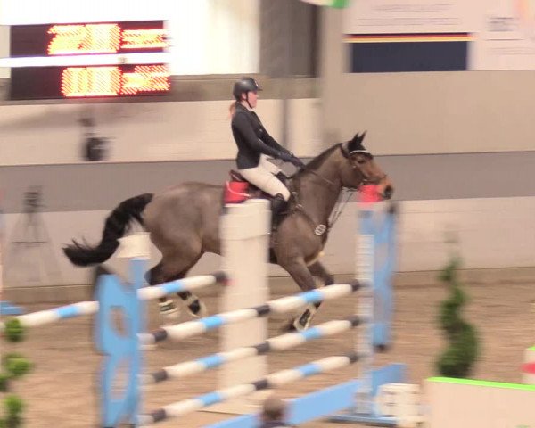 Reitturnier Luhmühlen 2021