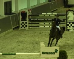 jumper Leonidas 111 (Oldenburg, 2006, from Lord Pezi)