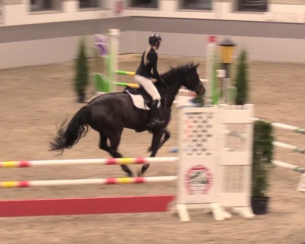 Reitturnier Luhmühlen 2021