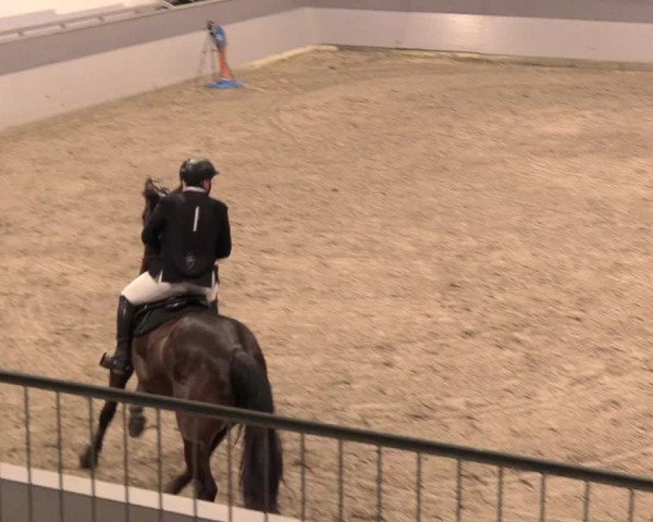 Reitturnier Luhmühlen 2021
