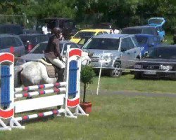 jumper Faradai's Dior (German Warmblood, 2003, from Consens)