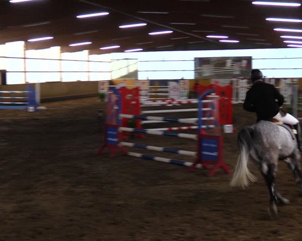 Reitturnier Pausin 2021