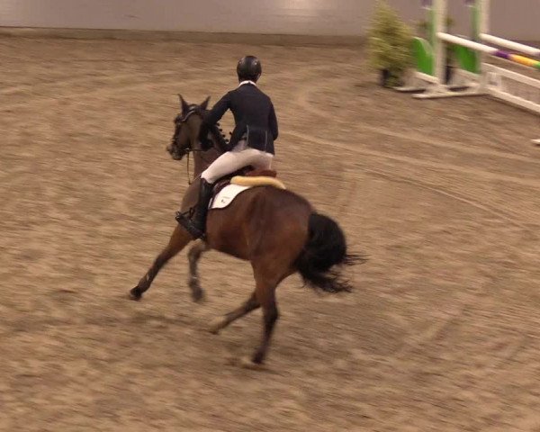 Reitturnier Luhmühlen 2021