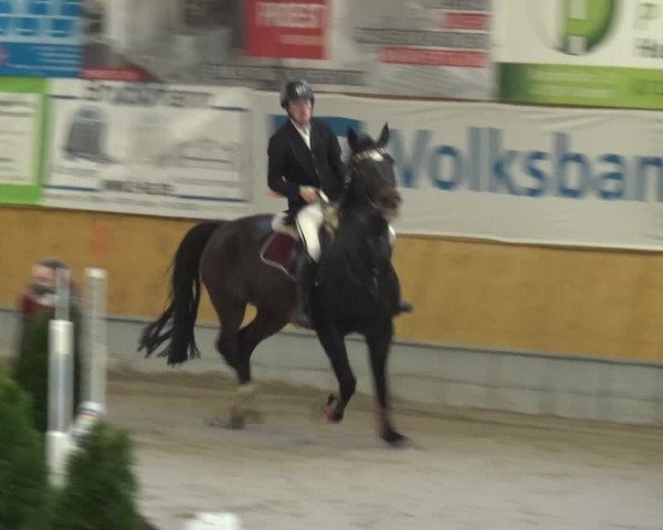 Reitturnier Keppeln - Reitanlage "Hötzenhof" 2021