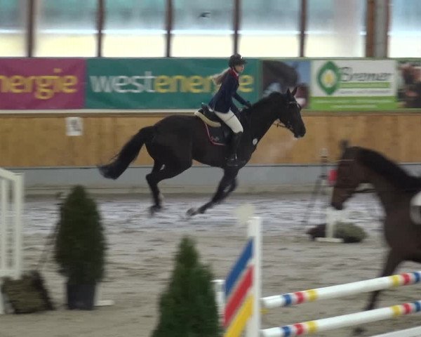 Reitturnier Keppeln - Reitanlage "Hötzenhof" 2021