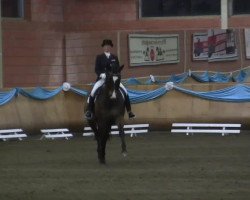 dressage horse Brequet (Trakehner, 2004, from Tivano)