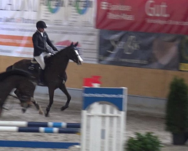 Reitturnier Keppeln - Reitanlage "Hötzenhof" 2021