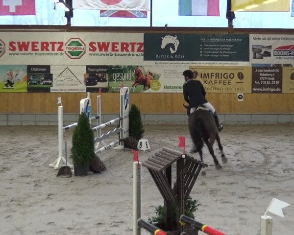 Reitturnier Keppeln - Reitanlage "Hötzenhof" 2021