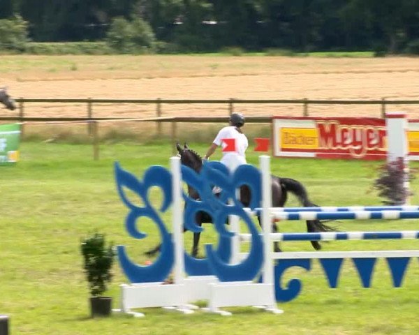 jumper Mirvana FR (Trakehner, 2000, from Benedict N AA)
