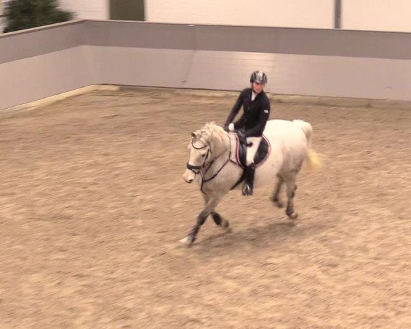 Reitturnier Luhmühlen 2021