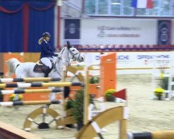 jumper T-Star Z (Zangersheide riding horse, 2001, from Tornado)