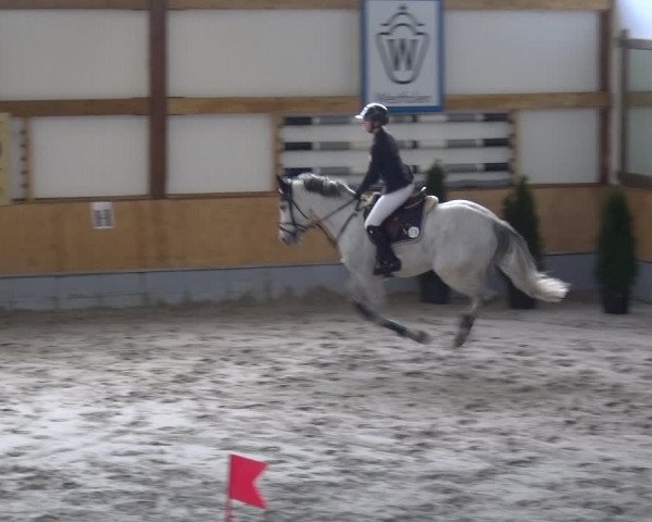 Reitturnier Keppeln - Reitanlage "Hötzenhof" 2021