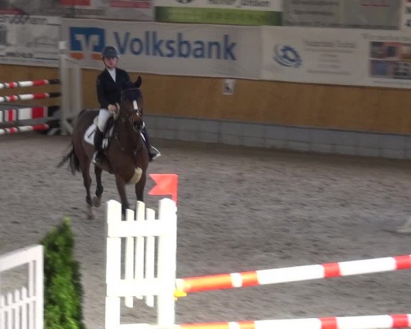 Reitturnier Keppeln - Reitanlage "Hötzenhof" 2021
