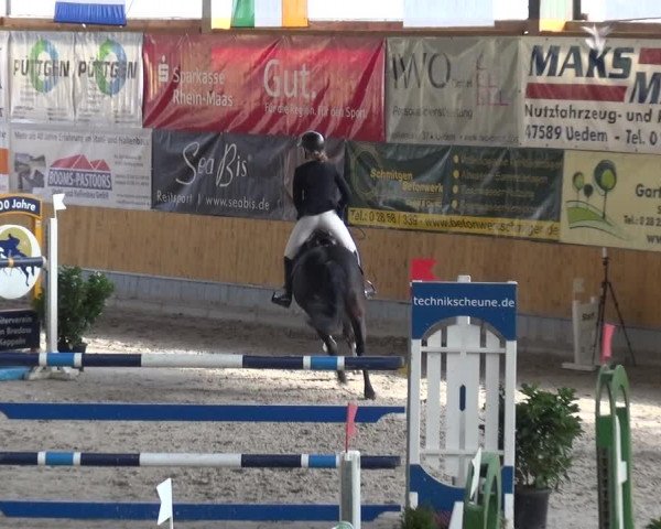 Reitturnier Keppeln - Reitanlage "Hötzenhof" 2021